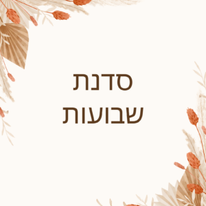 סדנת שבועות 15.5-16.5 9:30